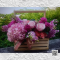 กระเช้าดอกไม้  Grace 30