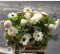 กระเช้าดอกไม้สด  Grace 71 I Le Floriste