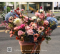 fresh-flower-basket 