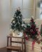 Luminous Evergreen Fresh Xmas Tree Size M