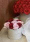 Classic Rose Box 10 stems