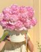 The Peony Edit-Classic BoxM (30 stems)