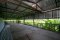 急售！土地和房屋410平方米 Bang Yai  Khlong Prapa 边沿 靠近Central Westgate 商业区 Motorway Bang Yai - Kanchanaburi