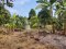 Land for rent 6 rai long term 20 years Located On Burapapat Road , Ban Chang Rayong