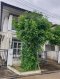 卖的特别便宜！！ 斯维尔村拐角处的双屋型房 BTS Khu Khot 附近的 Rangsit - Lamlukka Klong 4！！！ 面积 38.4 平米哇，使用面积 150 平方米，3 房 2卫 2 车位，屋内可停 2 辆车，有 2 扇大门可以舒适停 2 辆车！！！