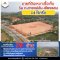 Land suitable for investment in Chiengrai, Mae jan - Chiang Saen Road. 14.5 Rai 10 minutes to Chiang Saen, 20 minutes to Golden Triangle (Border of Laos and Myanmar)