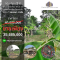 Suitable for investment!! Land for sale on Petchhueng Road, almost 2 rai, located in the center of Bang Kachao, Phra Pradaeng tourist attraction. Urgent!!