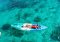 เกาะราชาน้อย เกาะไม้ท่อน Catamaran