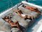 HYPE Luxury Party Yacht