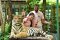 Tiger Kingdom Phuket