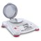 Ohaus Scout Protable