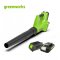 Greenworks Battery Azial Blower 24V Including Battery and Charger