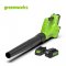 Greenworks Battery Azial Blower 24V Including Battery (4 ah)and Charger