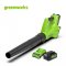 Greenworks Battery Azial Blower 24V Including Battery (4 ah)and Fast Charger