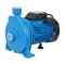 ปั๊มหอยโข่ง Mr.Pump รุ่น MCP110 ขนาด 1.0 HP ท่อดูด-ส่ง 1″x1″