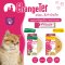 ChangeTer Low-Sodium Cat Lick [10g.x4PACKS]