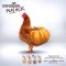 DOGSTER PLAY MIX - ขนมและท็อปปิ้งฟรีซดราย ผสม Super Food 40g.