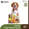 FOFOs Veggie Squeaky Toy - ของเล่นยางกัดสุนัข รูปผัก