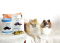 FORCANS Nutrition Treats - ขนมบำรุงสุขภาพ 240g.