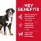 Hill's® Science Diet® Adult Large Breed - อาหารเม็ดสุนัขพันธุ์ใหญ่