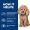 Hill's Prescription Diet Gastrointestinal Biome Small Bites - อาหารสุนัขสูตรดูแลระบบทางเดินอาหาร เม็ดเล็ก