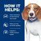 Hill's Prescription Diet r/d Weight Loss