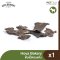 Hoya Bakery - Dehydrated Duck Lung  50g.