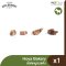 Hoya Bakery - Dehydrated Pork Lung 50g.