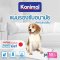 Kanimal Training Pad Size M - แผ่นรองซับ 40 แผ่น