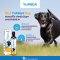 Lintbells - YUMEGA Dog ผลิตภัณฑ์อาหารเสริมบำรุงผิวหนังและเส้นขนสำหรับสุนัข