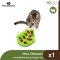 Nina-Ottosson Cat -  Buggin' Out