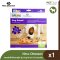 Nina Ottosson Dog Interactive Toy - ของเล่นฝึกทักษะสุนัข รุ่น Dog Smart Composite
