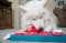 Nina-Ottosson Cat Interactive Toy - Dog Brick