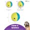 Outward Hound Treat Tumble SM - ลูกบอลซ่อนขนม ฝึกทักษะ
