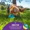 Outward Hound Treat Tumble SM - ลูกบอลซ่อนขนม ฝึกทักษะ