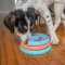 Outward Hound Puppy, Small Dog and Cat Lickin' Layers