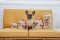 Outward Hound Hide A Squirrel - ตุ๊กตาซ่อนขนมฝึกทักษะสุนัข