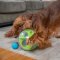 Outward Hound A-Maze Ball - ลูกบอลซ่อนขนม ฝึกทักษะ