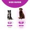 Outward Hound Fun Flower - ชามอาหาร Slow Feeder ไซส์ใหญ่