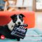 P.L.A.Y - Hollywoof Cinema Collection Dog Plush Toys
