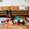 P.L.A.Y - Fetching Flock Collection Dog Plush Toy