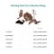 P.L.A.Y - Fetching Flock Collection Dog Plush Toy