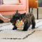 P.L.A.Y - Snack Attack Collection Dog Plush Toy