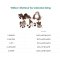 P.L.A.Y - Willow's Mythical Collection Dog Plush Toys