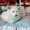 P.L.A.Y - Pup Cup Cafe Collection Dog Plush Toys