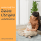 [Pre-Order] PANDO - เครื่องเป่าขนสัตว์เลี้ยง รุ่น PD50