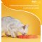 PetDreamHouse PAW 2-IN-1 for Cat and Small Dogs Orange