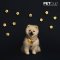 PETHROOM Bug Out Light Clip - คลิปไฟกันเเมลง