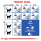 Royal Canin Indoor 7+