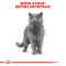 Royal Canin British Shorthair Adult